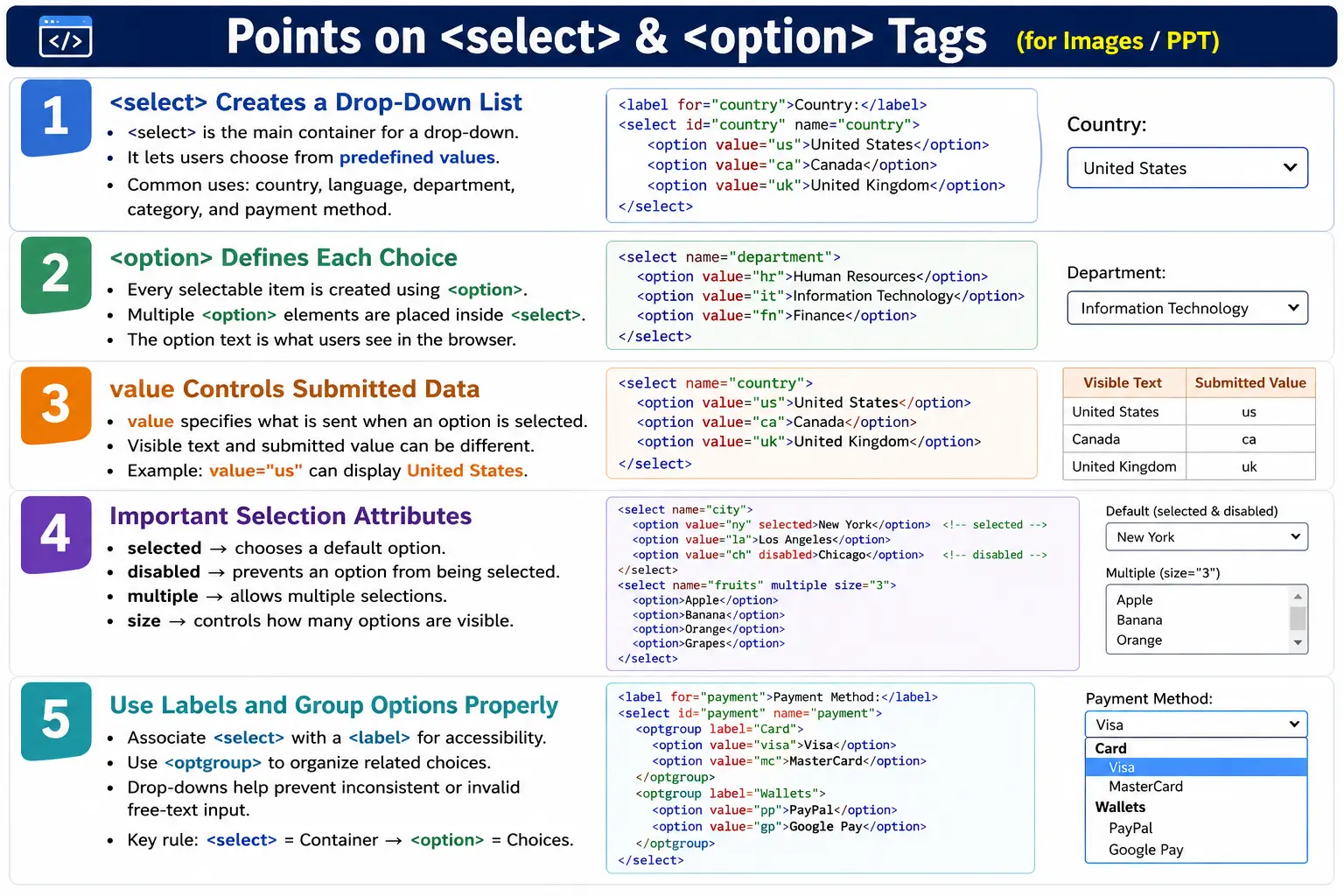 Select and Option Tags tutorial image